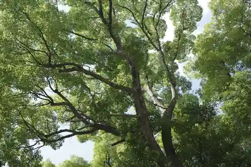 多摩川浅間神社の自然