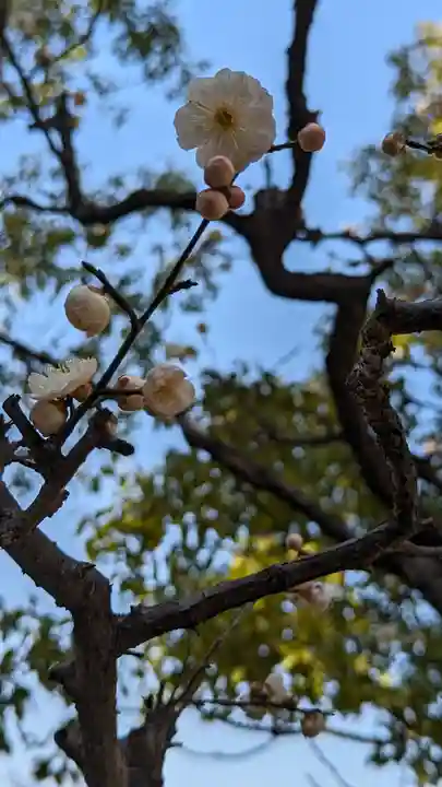 智積院(京都府)