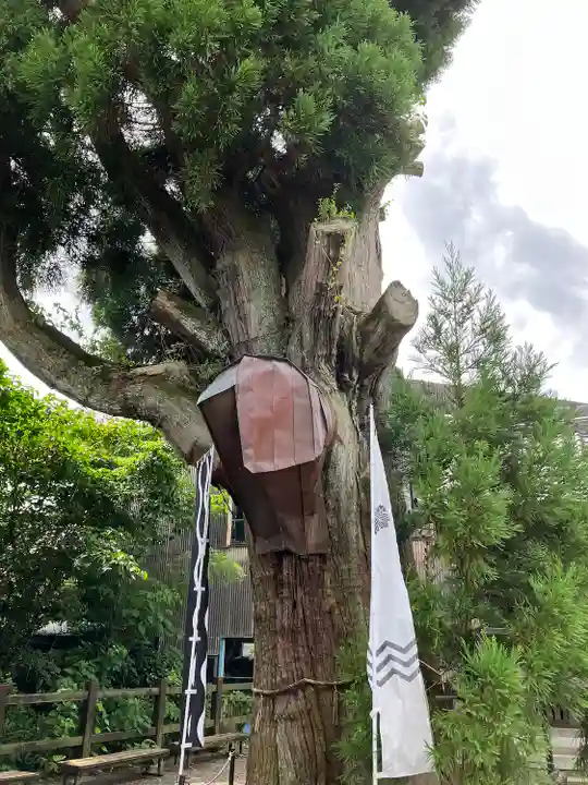 春日神社(岐阜県)