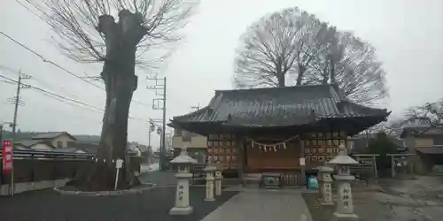 石井神社の本殿・本堂