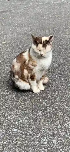 唐澤山神社の動物