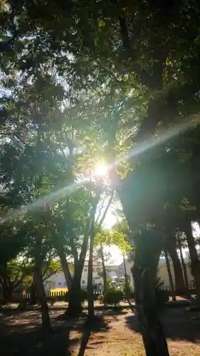 神明社（国府宮神明社）の景色