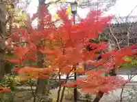 鶴岡八幡宮の自然