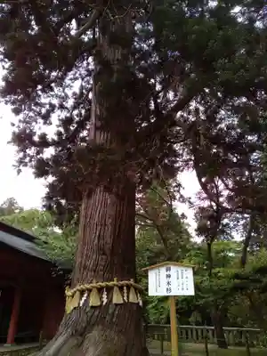 志波彦神社・鹽竈神社(宮城県)