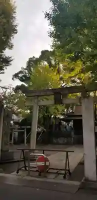 千住氷川神社の鳥居