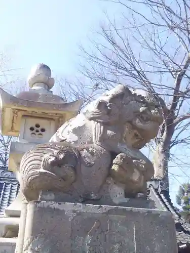 佐間天神社の狛犬