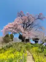 天神さまの祠の自然