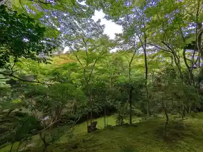 圓光寺(京都府)