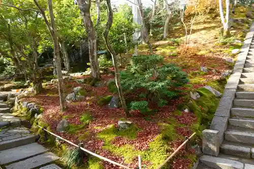 常寂光寺の庭園