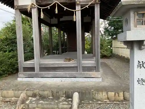 小池神社(愛知県)