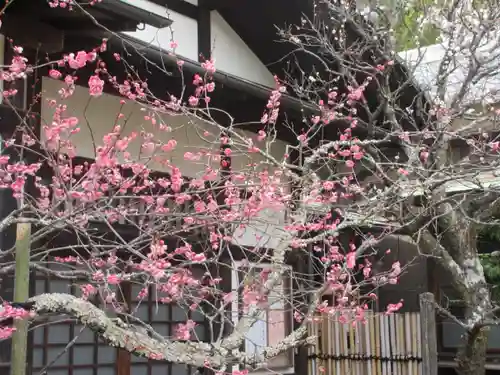 浄光明寺(神奈川県)