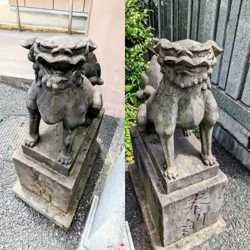 白金氷川神社の狛犬