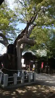 阿邪訶根神社(福島県)