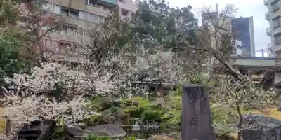 湯島天満宮(東京都)