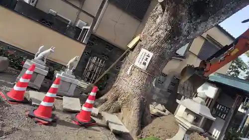 山王神社(京都府)