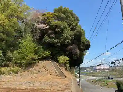 子将神(千葉県)