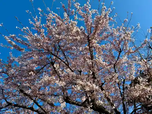 苗穂神社(北海道)