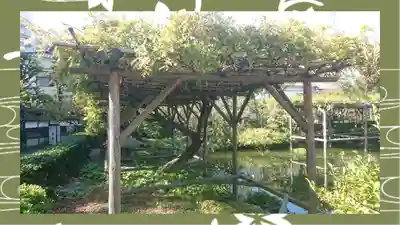 亀戸天神社(東京都)