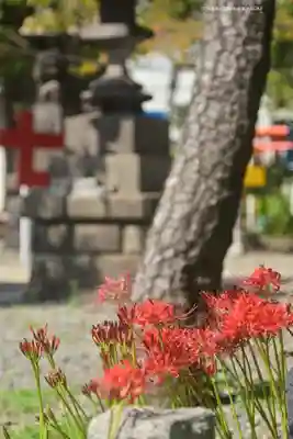 磐井神社(東京都)