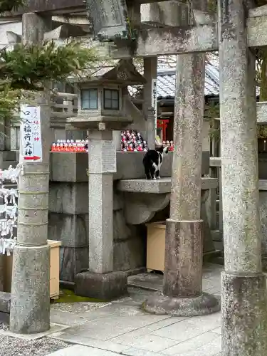 伏見稲荷大社の{uncategorized: "未分類", other: "その他", undefined: "問題あり", building: "その他建物", grave: "お墓", sacred_gate: "鳥居", guardian: "狛犬", statue: "像", buddha: "仏像", history: "歴史", nature: "自然", garden: "庭園", animal: "動物", pagoda: "塔", temizu: "手水舎", mountain_gate: "山門・神門", sanctuary: "本殿・本堂", subordinate: "末社・摂社", art: "芸術", scenery: "景色", jizo: "地蔵", ema: "絵馬", goshuin: "御朱印", omikuji: "おみくじ", items: "授与品その他", amulet: "お守り", goshuincho: "御朱印帳", eats: "食事", festival: "お祭り", votive_dance: "神楽", shichigosan: "七五三参", wedding: "結婚式", experience: "体験その他", initially: "初詣", around: "周辺", anti_infection: "感染症対策"}
