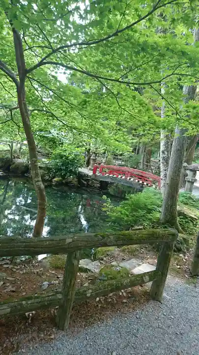 横山不動尊の庭園
