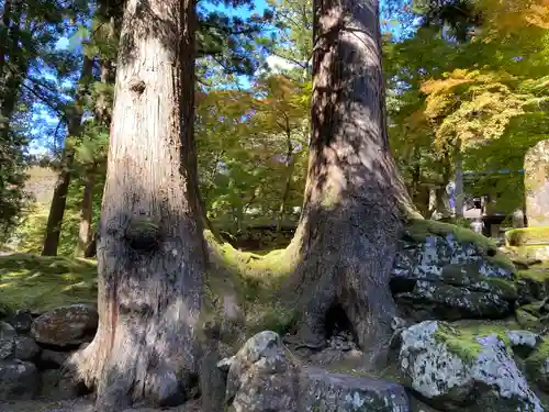 永平寺(福井県)