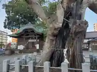 阿邪訶根神社のその他建物