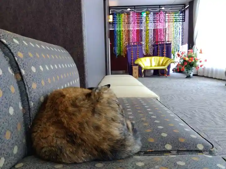 佐佳枝廼社の動物