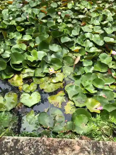 鶴林寺(兵庫県)