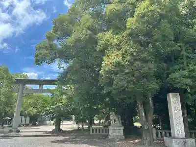 讃岐宮 香川縣護國神社の鳥居