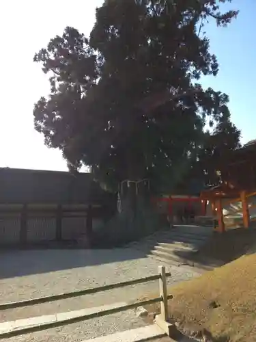 春日大社(奈良県)