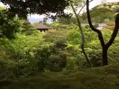 慈照寺（慈照禅寺・銀閣寺）の景色