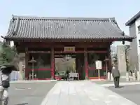 護国寺の山門・神門