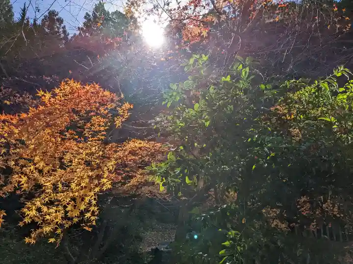 萬徳寺(福井県)