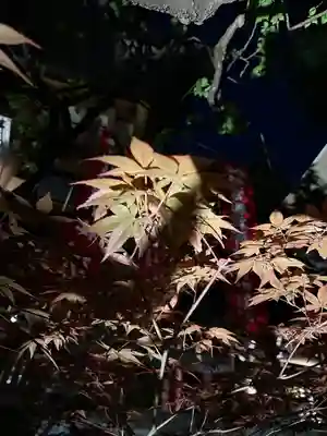 東京大神宮(東京都)