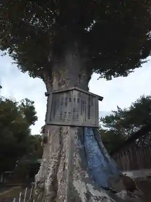 若宮八幡宮(茨城県)