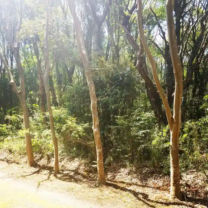 鹿島神宮の自然