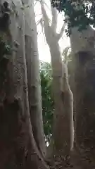 酒門神社の自然