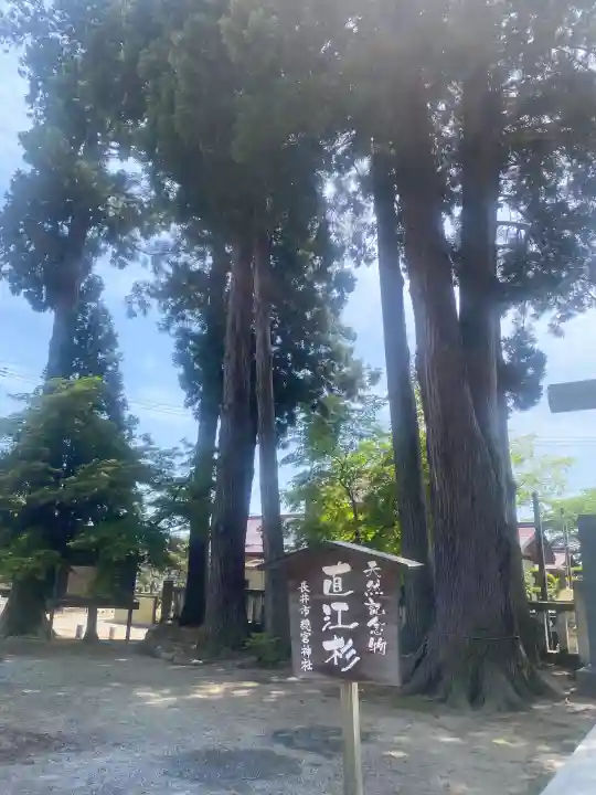 總宮神社の{uncategorized: "未分類", other: "その他", undefined: "問題あり", building: "その他建物", grave: "お墓", sacred_gate: "鳥居", guardian: "狛犬", statue: "像", buddha: "仏像", history: "歴史", nature: "自然", garden: "庭園", animal: "動物", pagoda: "塔", temizu: "手水舎", mountain_gate: "山門・神門", sanctuary: "本殿・本堂", subordinate: "末社・摂社", art: "芸術", scenery: "景色", jizo: "地蔵", ema: "絵馬", goshuin: "御朱印", omikuji: "おみくじ", items: "授与品その他", amulet: "お守り", goshuincho: "御朱印帳", eats: "食事", festival: "お祭り", votive_dance: "神楽", shichigosan: "七五三参", wedding: "結婚式", experience: "体験その他", initially: "初詣", around: "周辺", anti_infection: "感染症対策"}
