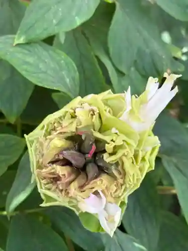 薬師院(兵庫県)