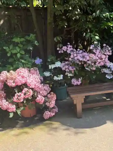 長谷寺(神奈川県)