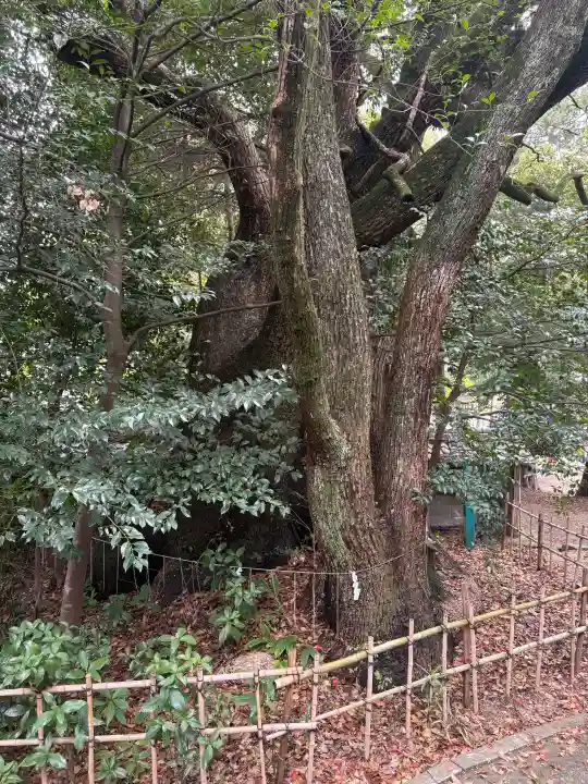 御津神社の{uncategorized: "未分類", other: "その他", undefined: "問題あり", building: "その他建物", grave: "お墓", sacred_gate: "鳥居", guardian: "狛犬", statue: "像", buddha: "仏像", history: "歴史", nature: "自然", garden: "庭園", animal: "動物", pagoda: "塔", temizu: "手水舎", mountain_gate: "山門・神門", sanctuary: "本殿・本堂", subordinate: "末社・摂社", art: "芸術", scenery: "景色", jizo: "地蔵", ema: "絵馬", goshuin: "御朱印", omikuji: "おみくじ", items: "授与品その他", amulet: "お守り", goshuincho: "御朱印帳", eats: "食事", festival: "お祭り", votive_dance: "神楽", shichigosan: "七五三参", wedding: "結婚式", experience: "体験その他", initially: "初詣", around: "周辺", anti_infection: "感染症対策"}