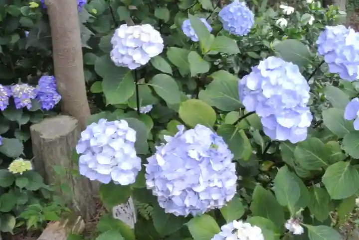 石刀神社(愛知県)