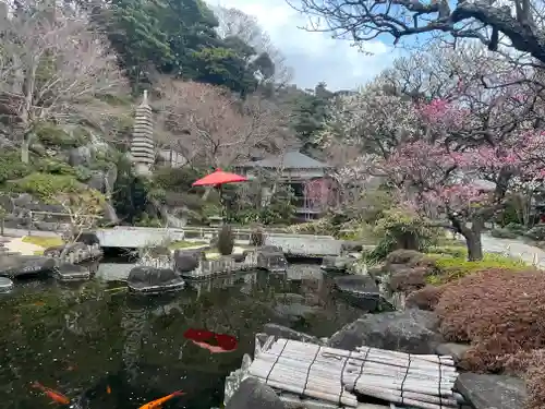 長谷寺の庭園