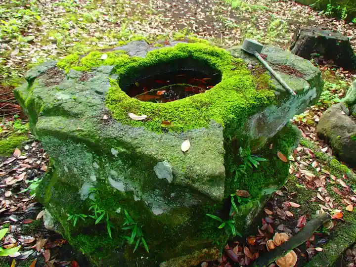 大洗磯前神社の手水舎
