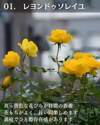 宝光寺(北海道)