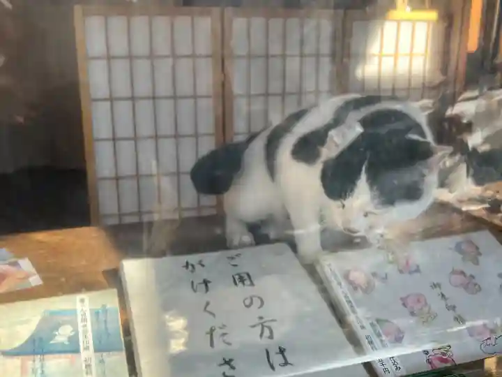 賀茂別雷神社(栃木県)