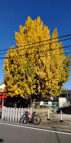 八大龍王辨財天(京都府)