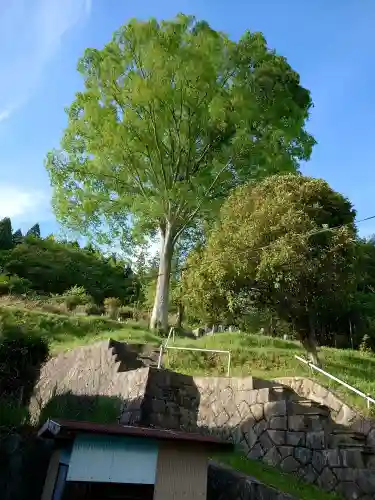 正徳院の{uncategorized: "未分類", other: "その他", undefined: "問題あり", building: "その他建物", grave: "お墓", sacred_gate: "鳥居", guardian: "狛犬", statue: "像", buddha: "仏像", history: "歴史", nature: "自然", garden: "庭園", animal: "動物", pagoda: "塔", temizu: "手水舎", mountain_gate: "山門・神門", sanctuary: "本殿・本堂", subordinate: "末社・摂社", art: "芸術", scenery: "景色", jizo: "地蔵", ema: "絵馬", goshuin: "御朱印", omikuji: "おみくじ", items: "授与品その他", amulet: "お守り", goshuincho: "御朱印帳", eats: "食事", festival: "お祭り", votive_dance: "神楽", shichigosan: "七五三参", wedding: "結婚式", experience: "体験その他", initially: "初詣", around: "周辺", anti_infection: "感染症対策"}