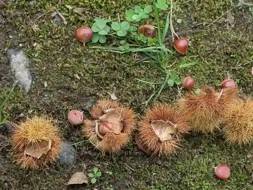 小澤神社(北海道)